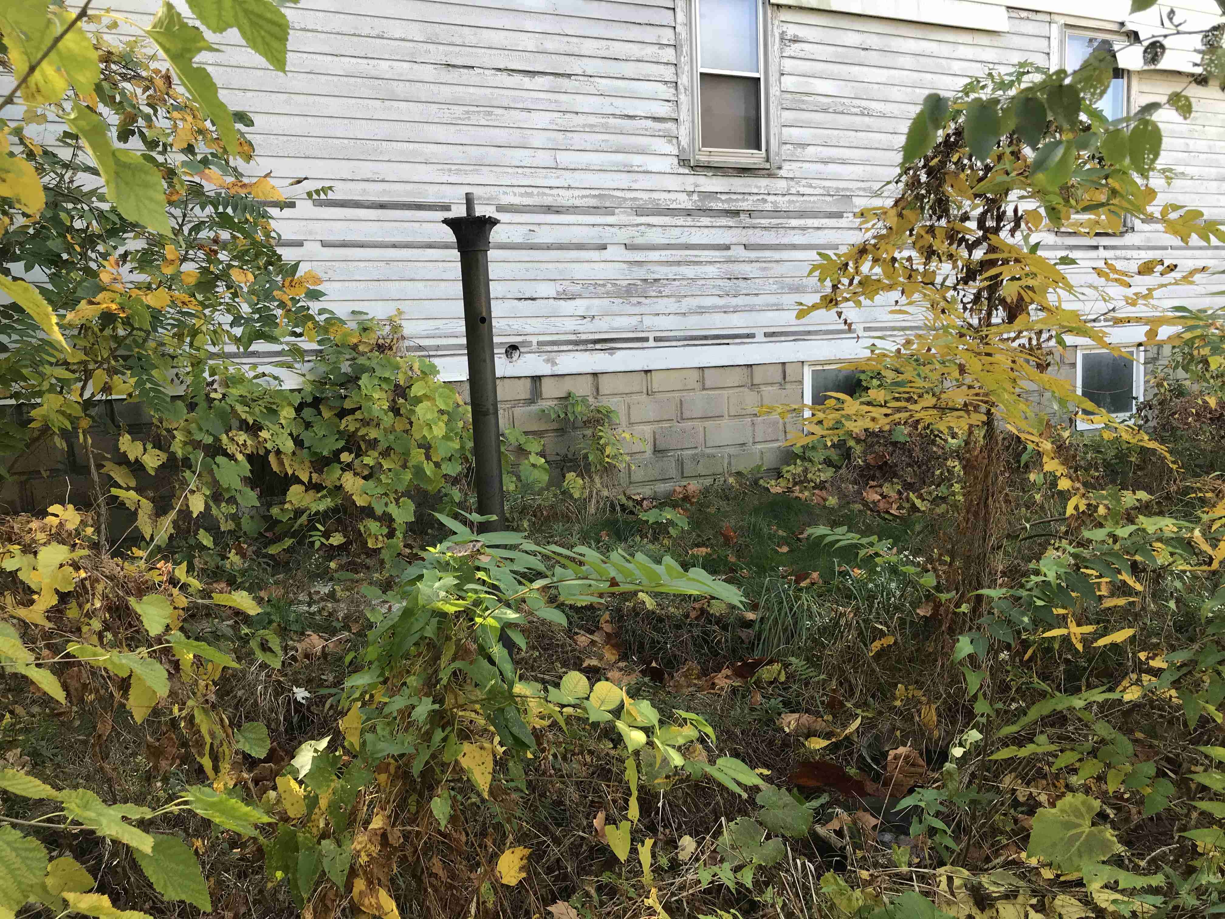 Photo Oct 13, 11 38 58 AM.jpg